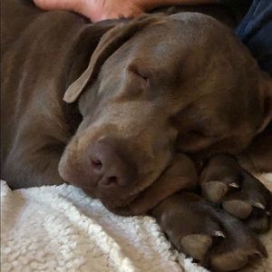 Meet your Posher, Mark